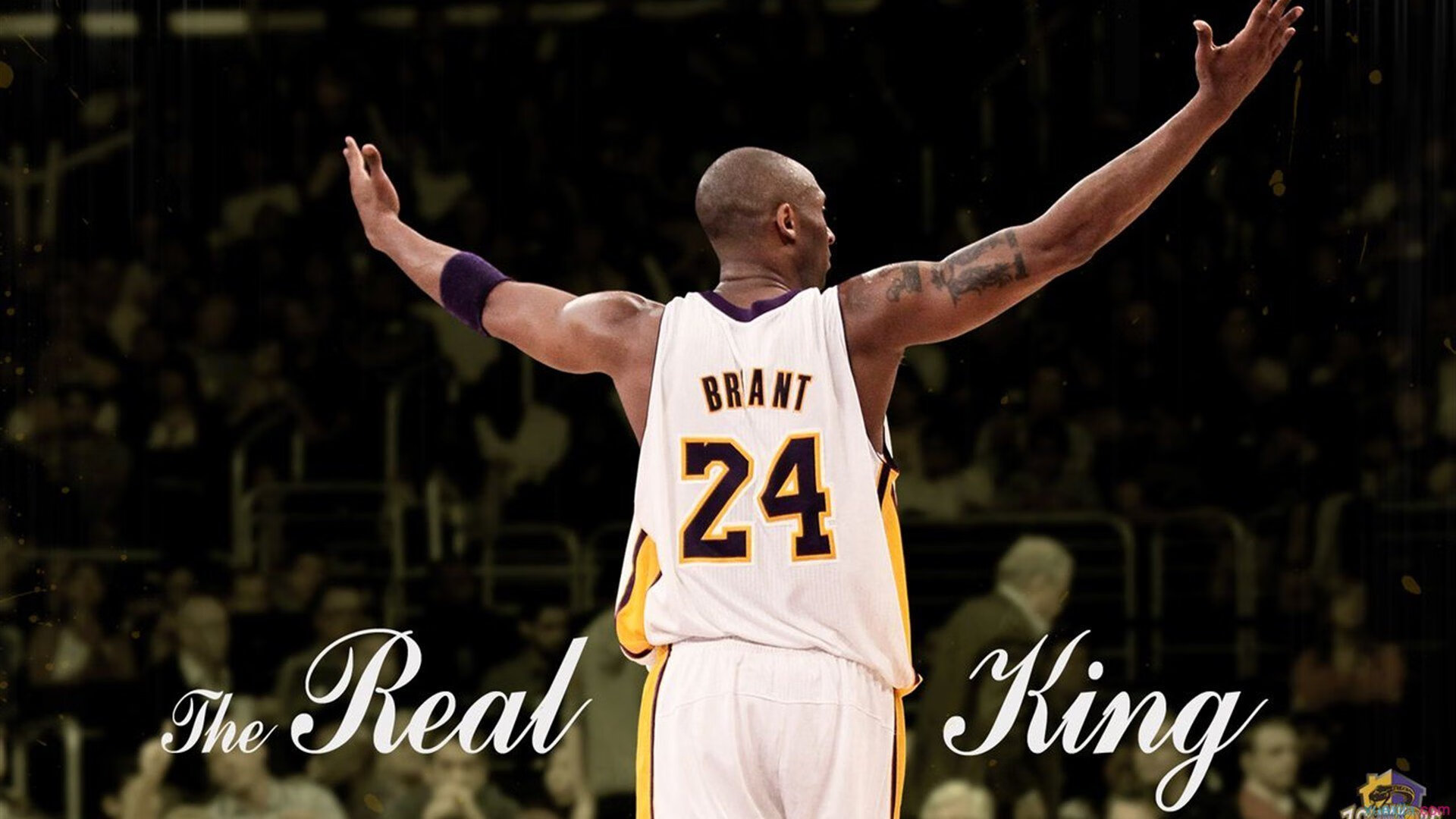 NBA球员赛季表现提升方法,nba球员赛季评级