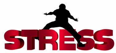 九游娱乐app-NBA球员心理压力识别及干预技术研究，nba球员性格问题